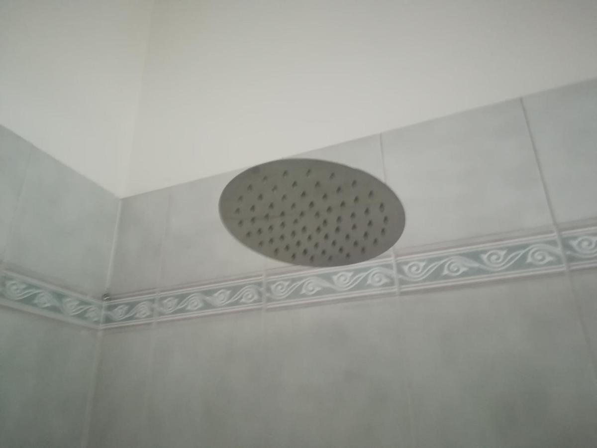 Oasi *